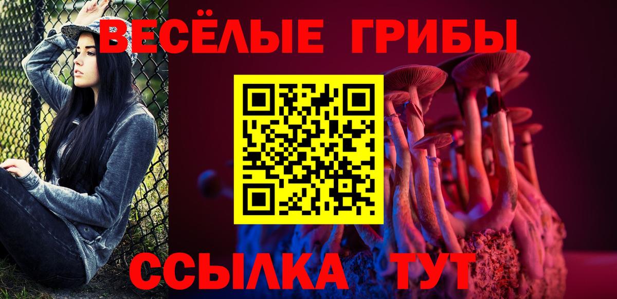 Галлюциногенные грибы ЛСД  Вход с VPN  купить  цена  Галлюциногенные грибы мицелий  Дмитров 