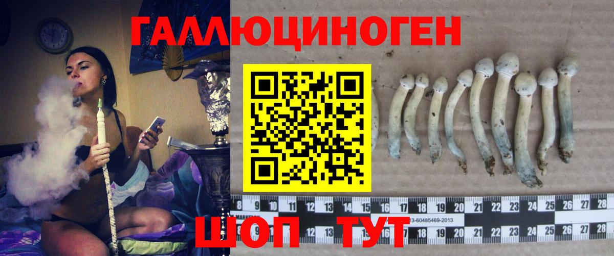 MDMA Дмитров